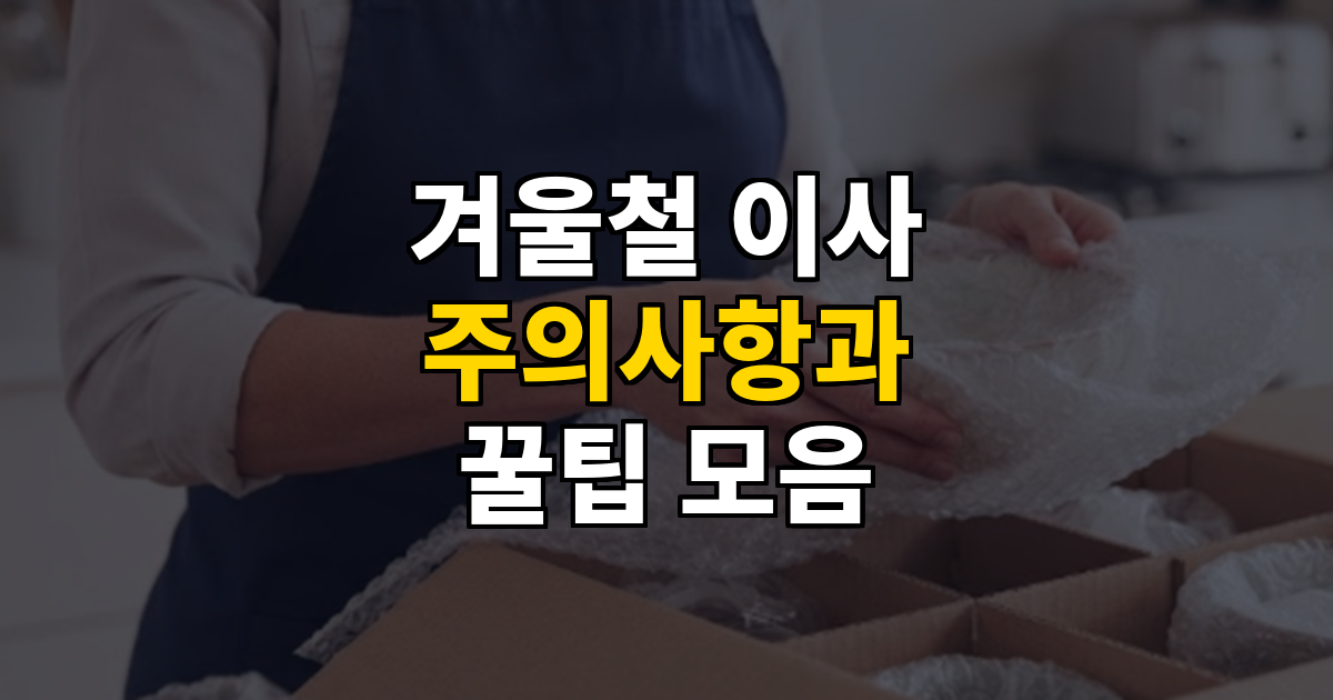 겨울철 포장이사 주의사항 및 꿀팁 대표 이미지
