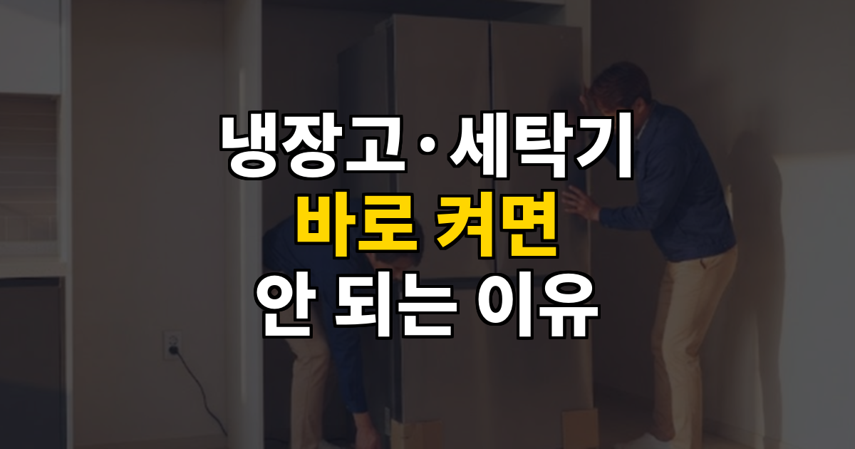 냉장고·세탁기 이사 후 바로 켜면 안 되는 이유 대표 이미지