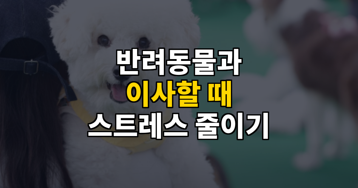 반려동물과 함께 이사할 때 스트레스 줄이는 법 대표 이미지