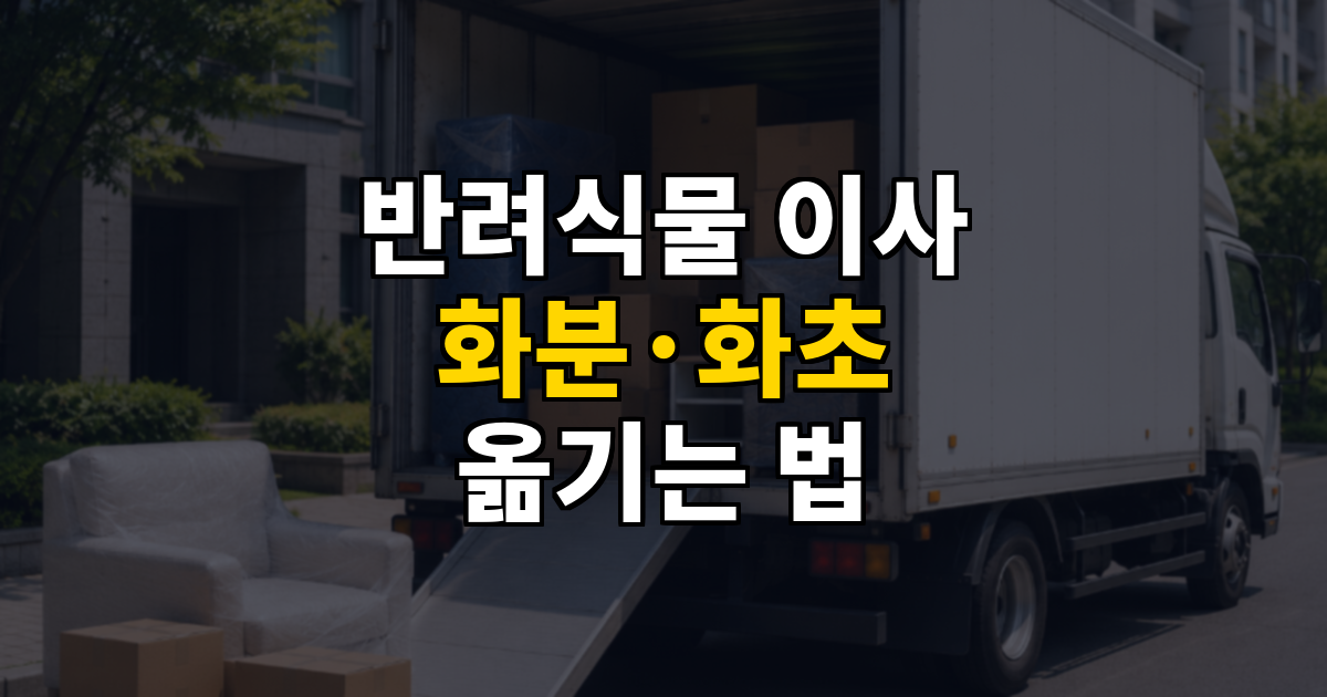 반려식물 이사 시키는 법 화분·화초 안전하게 옮기기 대표 이미지